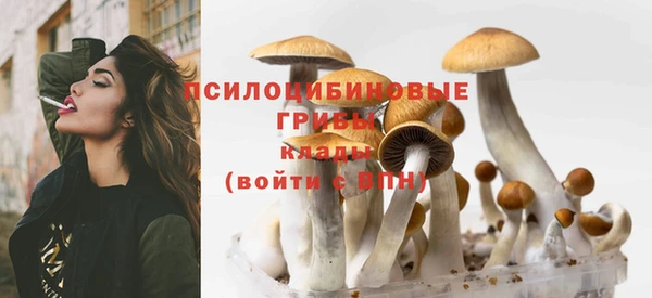 хмурый Алзамай