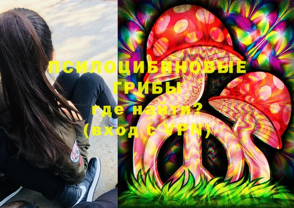хмурый Алзамай